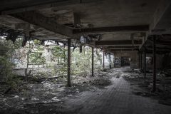 Brauerei Sternburg Leipzig Sternburger Exploration Urbex Lost Place