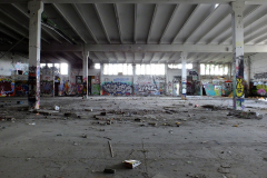 DSCF0338