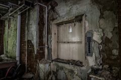 IMG_4534