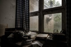 IMG_4537
