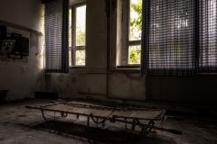 IMG_4539