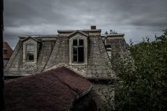 IMG_4546