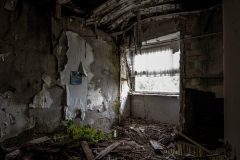 IMG_4548