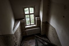 IMG_4549