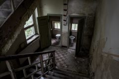 IMG_4559