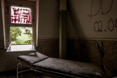 IMG_4560