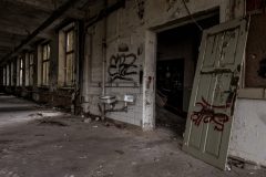 IMG_4572