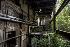 IMG_4575