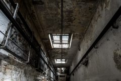 IMG_4580