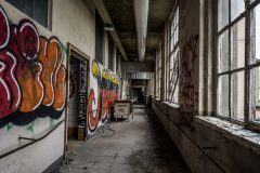 IMG_4590