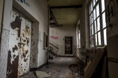 IMG_4593