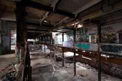 IMG_9857