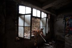 IMG_0950