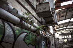 VEB Textimaprojekt Karl-Marx-Stadt Chemnitz Exploration Urbex Lost Place