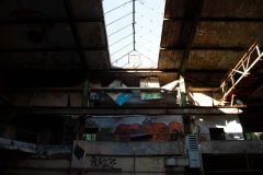 IMG_4974