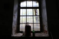 IMG_5271