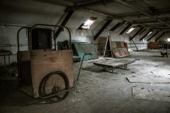 IMG_0981