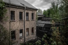 IMG_1003