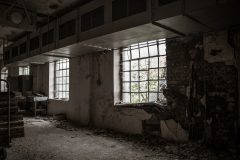 IMG_1005