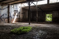 Chemie Fabrik WAHOMA-Werk Walter Hoffmann Halle Exploration Urbex Lost Place