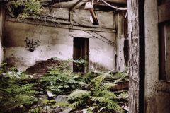 Fabrik Gotha Wein Eastern Exploration Urbex Lost Place