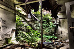 Fabrik Gotha Wein Eastern Exploration Urbex Lost Place