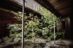 Fabrik Gotha Wein Eastern Exploration Urbex Lost Place