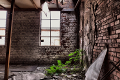 Fabrik Gotha Wein Eastern Exploration Urbex Lost Place