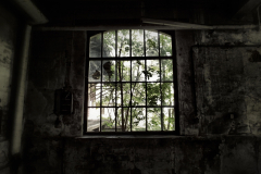 Fabrik Gotha Wein Eastern Exploration Urbex Lost Place