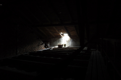DSCF6992