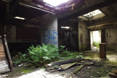 DSCF7030