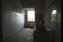 DSCF7147