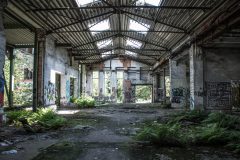 IMG_6433