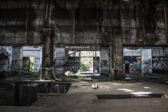 IMG_6492